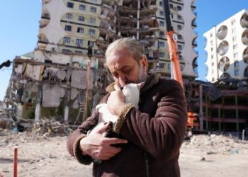 Galeria Sitesi’nde 13 kedi kurtarıldı