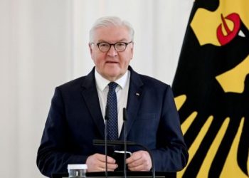 Almanya Cumhurbaşkanı’ndan Kürtçe deprem mesajı: Acınız acımızdır