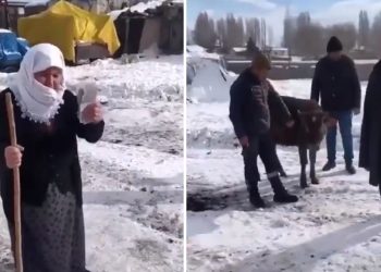 70 yaşındaki nine, düvesini satıp parasını depremzedelere gönderdi