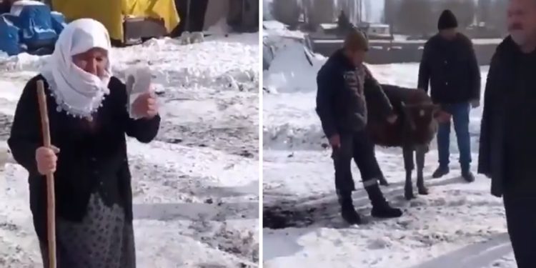 70 yaşındaki nine, düvesini satıp parasını depremzedelere gönderdi