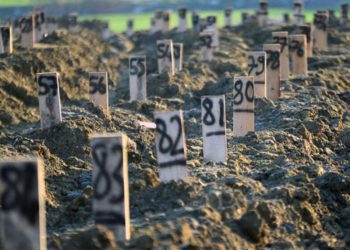 AFAD son verileri açıkladı; depremde can kaybı 41 bini aştı