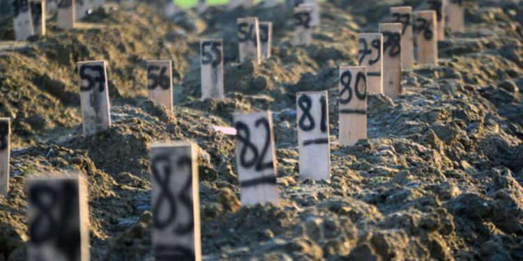 AFAD son verileri açıkladı; depremde can kaybı 41 bini aştı