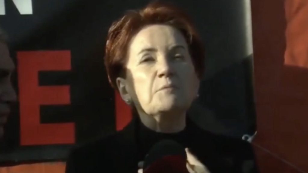 Akşener'den açıklama: Erdoğan ile yaptığı görüşmeyi anlattı