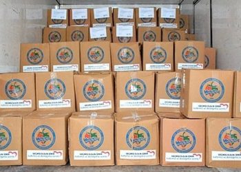 Almanya'da toplanan deprem yardımlarına bürokrasi engeli!