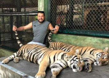 Antakya’da yüzlerce kişiye mezar olan binanın AKP’li müteahhidi malzemeden çalmış!