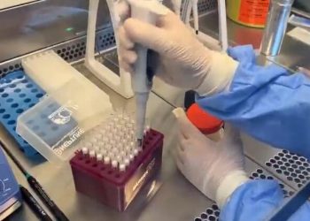 Bakan Koca: Moleküler testlerle salgın hastalık olup olmadığı takip ediliyor