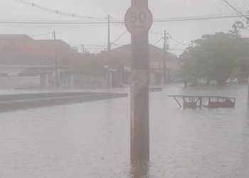 Brezilya'da sel: En az 36 ölü