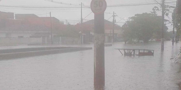 Brezilya'da sel: En az 36 ölü