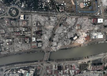 'Defne'de uyuz ve bit vakaları olağanüstü yayılmaya başladı'