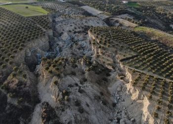 Depremin vurduğu illerdeki çiftçilerin kredi borçları 1 yıl ertelenecek
