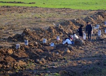 Depremlerde hayatını kaybedenlerin sayısı 41 bin 156’ya yükseldi