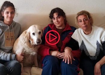Hatay'da Asil köpek, ailesini enkazda kalmaktan kurtardı