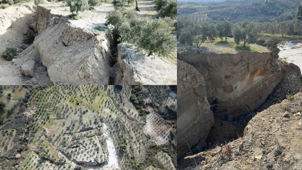 Hatay'da zeytin bahçesinde deprem sonrası dev yarıklar oluştu