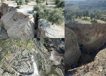 Hatay'da zeytin bahçesinde deprem sonrası dev yarıklar oluştu