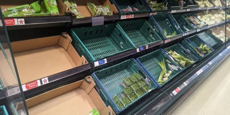 İngiltere’de süper market zincirleri Asda ve Morrisons, Kuzey Afrika ve İspanya'dan taze meyve ve sebze tedarikinde yaşanan sıkıntılar nedeniyle bazı ürünlerin satışında kısıtlama getirdi.