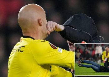 Kaleci Marko Dmitrovic'e saldıran taraftar canını zor kurtardı!