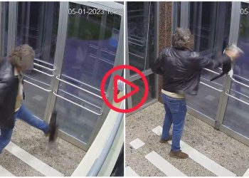 Kediyi tekmeleyen kişinin ifadesi ortaya çıktı: Site yönetimine tepkiydi