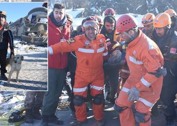 Malatya'da arama-kurtarma çalışmasını sürdüren ekipler, eğitimli köpek "Köpük''ün tepki vermesinin ardından altı katlı bir binanın birinci katında olduğu belirlenen 60 yaşındaki Meral Nakır'a, 20 saatlik bir çalışma ile ulaşarak depremden 77 saat sonra canlı kurtarmayı başardı.