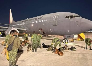 Meksika'nın meşhur arama kurtarma köpekleri Türkiye'ye geliyor
