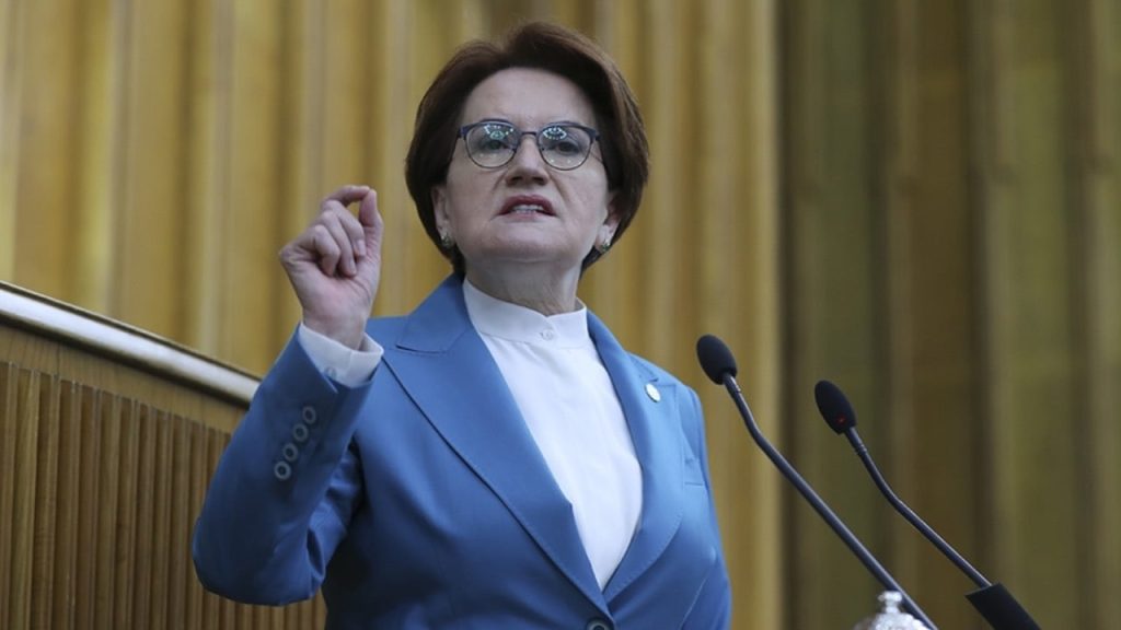 Meral Akşener'den 'ortak aday' sorusuna yanıt: Ne desem kabahat oluyor