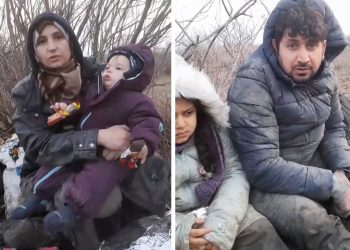 Meriç’i geçen 3’ü çocuk 10 kişi Yunanistan’dan sığınma istedi