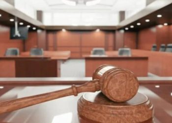 Öcalan'ın avukatlığını yapan 8 sanığın yargılandığı dava: Hapisleri istendi