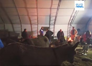 Osmaniye’de onlarca depremzede hayvan barınağına sığındı 
