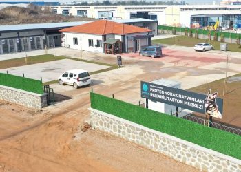 Proteo'nun ismi sokak hayvanları için yaptırılan rehabilitasyon merkezine verildi