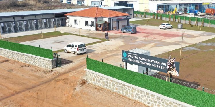 Proteo'nun ismi sokak hayvanları için yaptırılan rehabilitasyon merkezine verildi