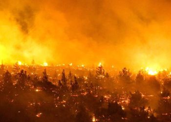 Şili orman yangınlarına teslim: En az 13 kişi hayatını kaybetti