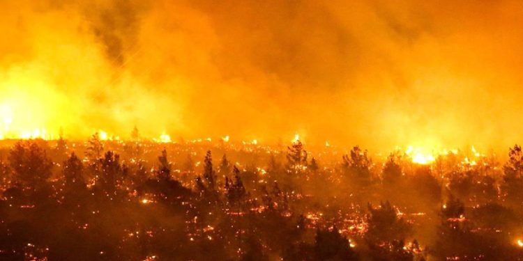 Şili orman yangınlarına teslim: En az 13 kişi hayatını kaybetti