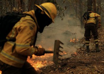 Şili'de orman yangınları: 22 kişi hayatını kaybetti