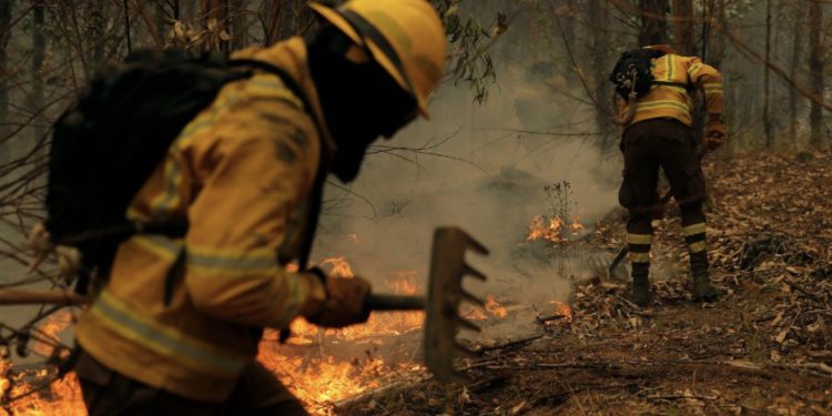 Şili'de orman yangınları: 22 kişi hayatını kaybetti