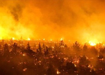 Şili'de orman yangınlarında ölenlerin sayısı 13'e yükseldi