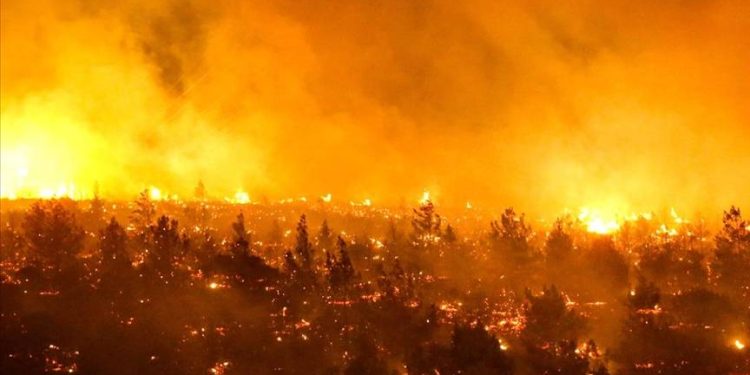 Şili'de orman yangınlarında ölenlerin sayısı 13'e yükseldi
