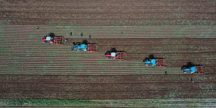 TÜİK: Tarımsal girdi enflasyonu yüzde 103'e yükseldi