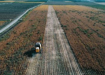 Tarımsal girdi enflasyonunda artış sürüyor!