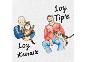 Türkiye Seçime Giderken Kedi Siyaseti