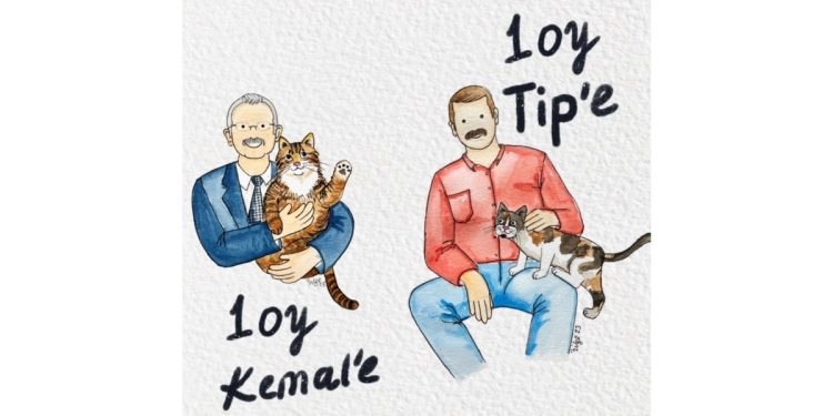 Türkiye Seçime Giderken Kedi Siyaseti