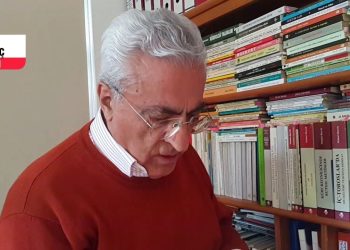 Mehmet Bayrak: Devlet aklı gizli planda itirafçı ve kabulcüdür