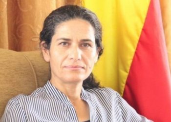 Uluslararası güçlere çağrı: Kürtlere karşı soykırım siyasetini bitirin