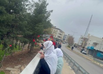 Nisêbîn’de 1992 Newrozu’nda katledilenler anıldı