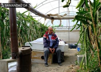 ‘Seramızı eve çevirir yine de toprağımızı terk etmeyiz’