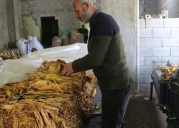 Enkaz altında kalan tütünün fiyatı yüzde 100 arttı