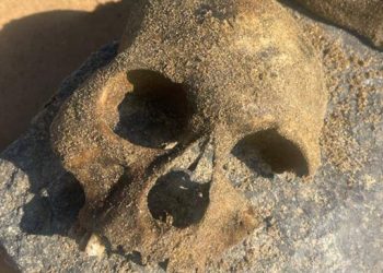 Zilan’daki kemikler ATK’ye gönderildi