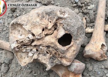 Wan’da yapılan kazıda insan kemikleri çıktı