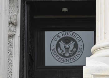 ABD'de Çin'in 'polis karakolları' kurduğu iddiası