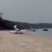 ABD'de, plaja acil iniş yapan uçak denize sürüklendi