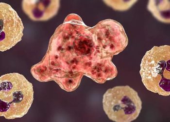 ABD’de ‘beyin yiyen amip’ can aldı: Musluk suyuyla sinüslerini temizlerken bulaştı