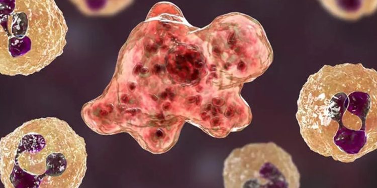 ABD’de ‘beyin yiyen amip’ can aldı: Musluk suyuyla sinüslerini temizlerken bulaştı